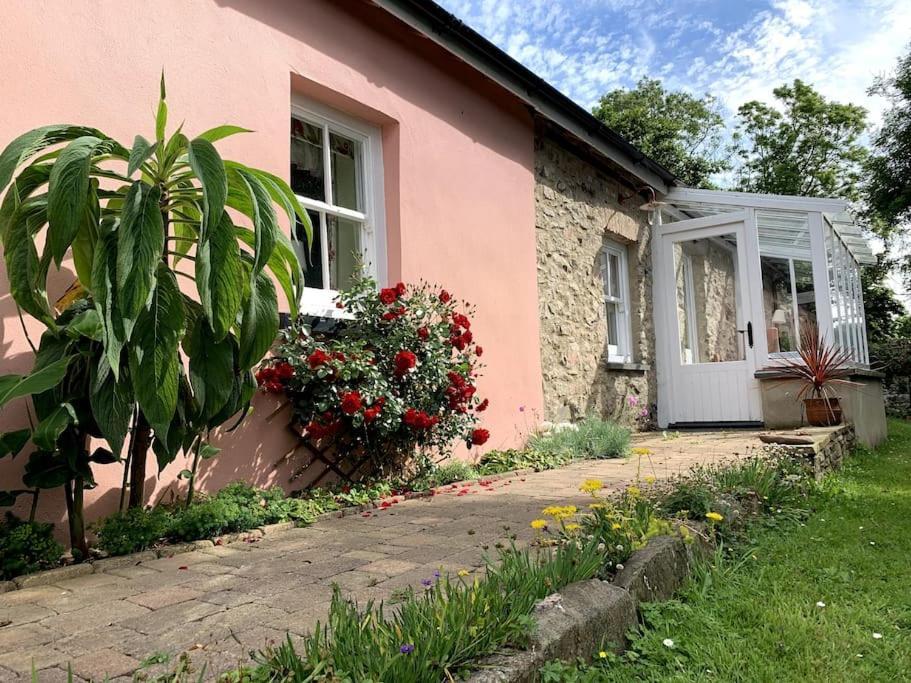 Millbay Cottage: Wonderful River Views Cosheston Eksteriør bilde