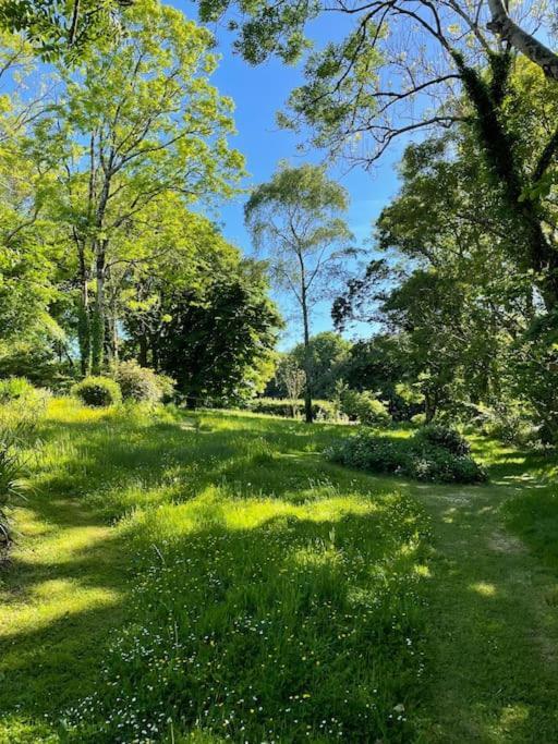 Millbay Cottage: Wonderful River Views Cosheston Eksteriør bilde